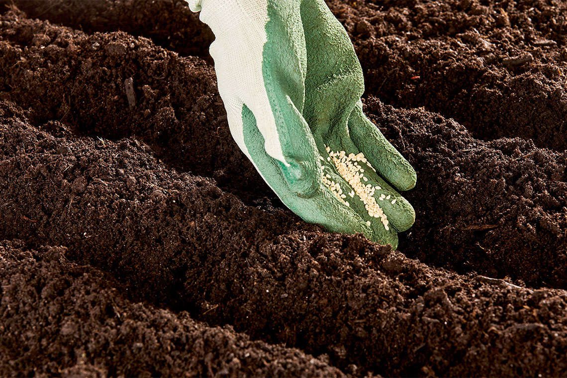 Scotts Green Max Fertilizer Lawsuit Hero Image