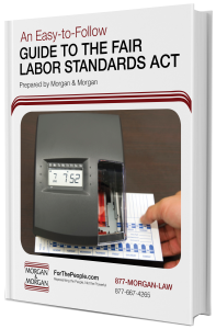 Click to Download FLSA PDF